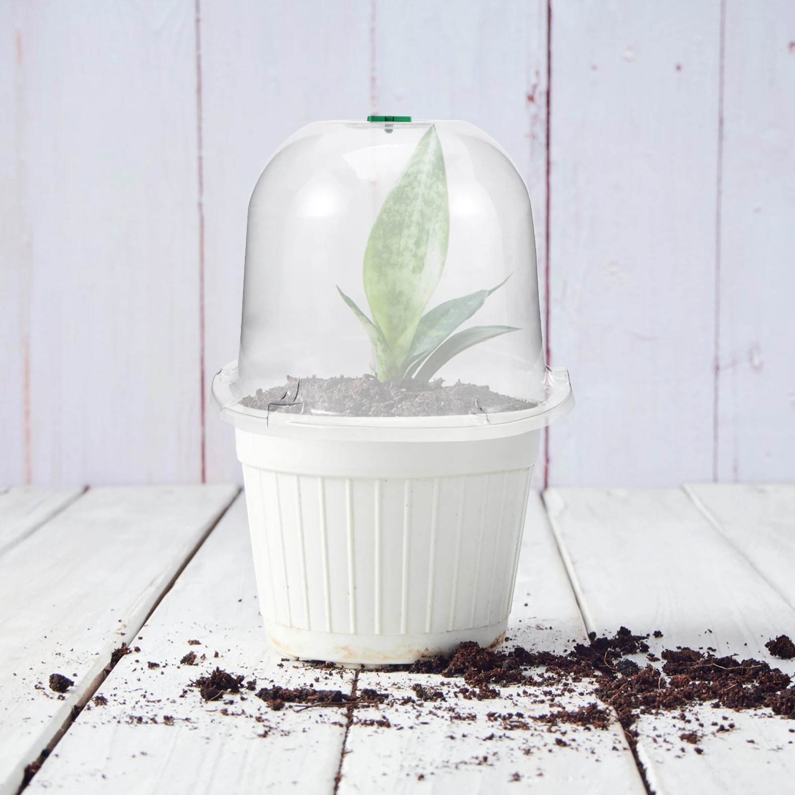 Garden Dome Plastic Plant Cloche Breathable Nursery Protector Adjustable Vent Frost Protection for Outdoor Vegetable Garden
Garden Dome Plastic Plant Cloche Breathable Nursery Protector Adjustable Vent Frost Protection for Outdoor Vegetable Garden