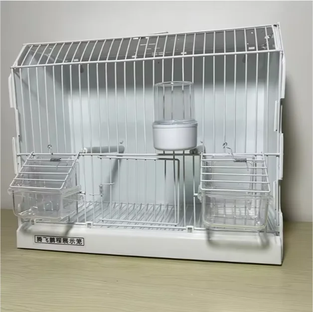 Custom Luxury Small Bird Cage Jaulas Chiquitas Para Pajaros Sturdy Durable Parrot Canary Breeding Cage for Home Use
Custom Luxury Small Bird Cage Jaulas Chiquitas Para Pajaros Sturdy Durable Parrot Canary Breeding Cage for Home Use