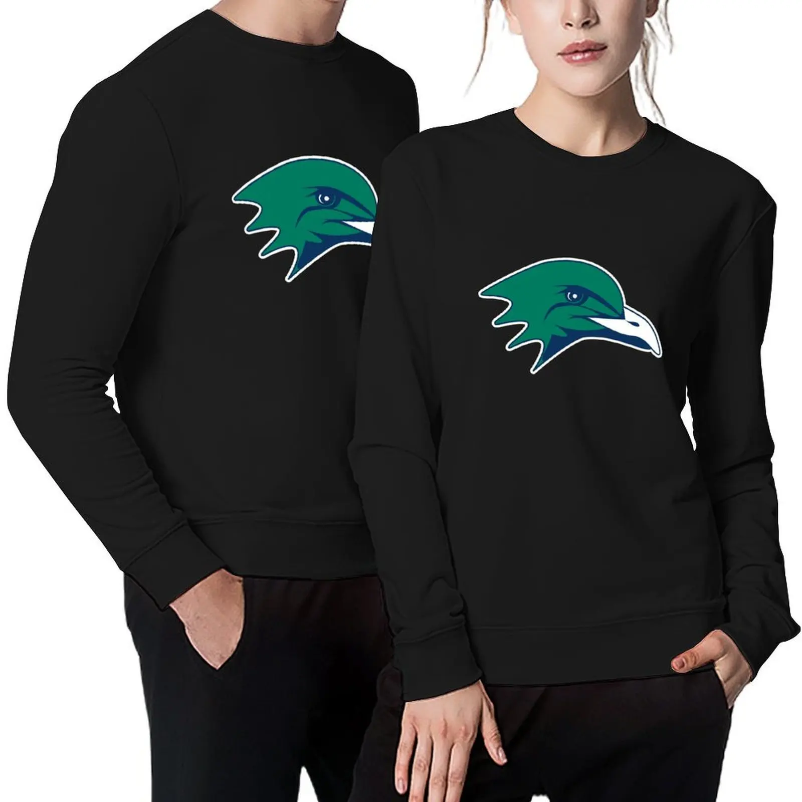 Endicott College Gulls Pullover men clothes autumn clothes mens clothing winter clothes sports sweatshirt man
Endicott College Gulls Pullover men clothes autumn clothes mens clothing winter clothes sports sweatshirt man
