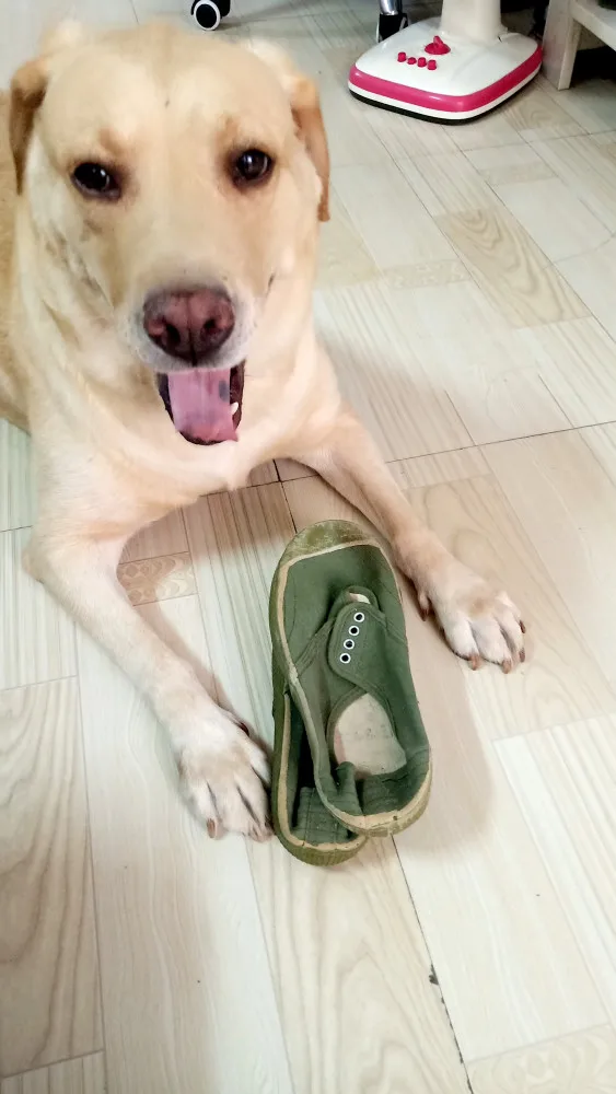 Набор шестигранных отверток с закаленными наконечниками 1.5мм, 2мм, 2.5мм, 3мм для радиоуправляемых моделей, дронов, самолетов, вертолетов, автомобилей
Набор шестигранных отверток с закаленными наконечниками 1.5мм, 2мм, 2.5мм, 3мм для радиоуправляемых моделей, дронов, самолетов, вертолетов, автомобилей