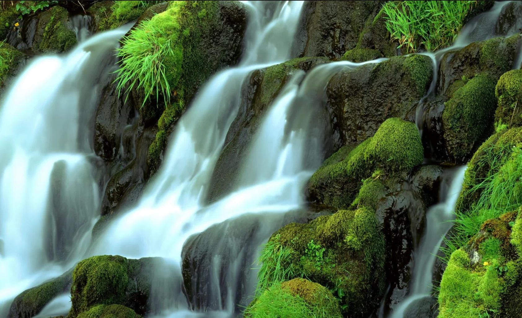 Custom waterfall 3d mural natural landscape forest flowing water rock painting home decoration Self-adhesive material wallpaper
Custom waterfall 3d mural natural landscape forest flowing water rock painting home decoration Self-adhesive material wallpaper