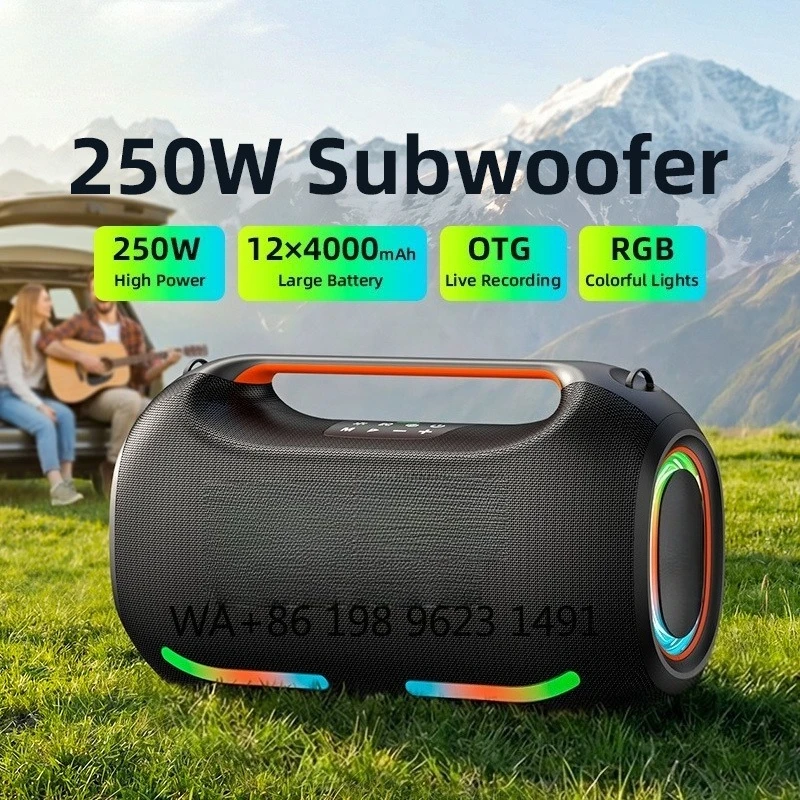 6.5 Inch Woofer Active Stereo Speaker RGB Light Battery Powered 250W Home Party
6.5 Inch Woofer Active Stereo Speaker RGB Light Battery Powered 250W Home Party