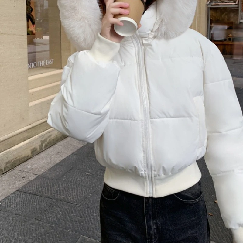Design Hooded Fur Collar Cotton Jacket Women's Winter 2025 New Thickened Warm Short Bread Jacket
Design Hooded Fur Collar Cotton Jacket Women's Winter 2025 New Thickened Warm Short Bread Jacket