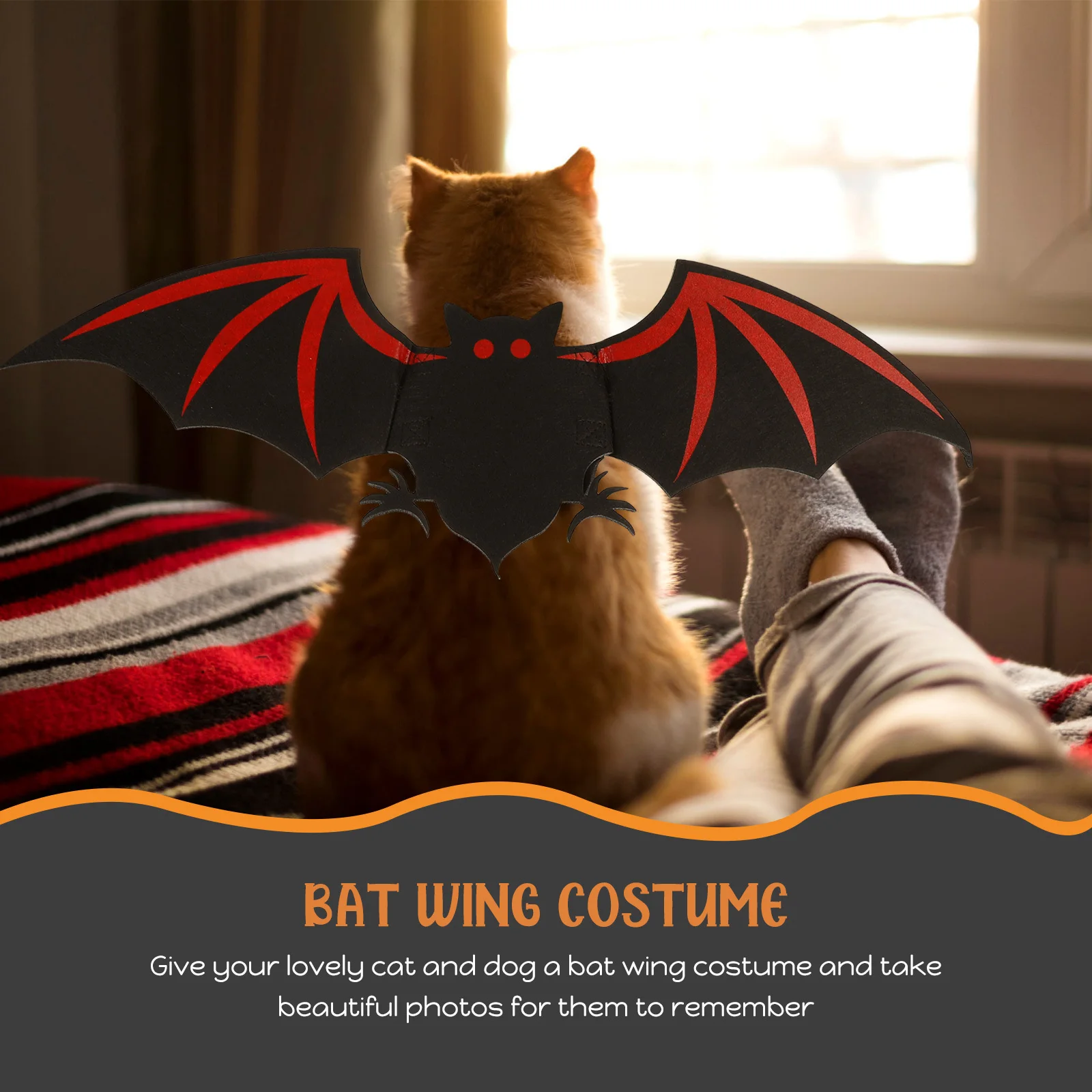 Bat Wing Decoration For Cats Dogs Creative Halloween Pet Costume Lightweight Dress Up Outfit For Pet Cosplay Party Decor
Bat Wing Decoration For Cats Dogs Creative Halloween Pet Costume Lightweight Dress Up Outfit For Pet Cosplay Party Decor