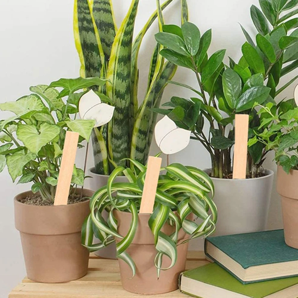 Wooden Plant Sign Flower Identifying Boards Garden Markers Vegetable Labeling Stakes for Plants Signs Labels Vegetables Outdoor
Wooden Plant Sign Flower Identifying Boards Garden Markers Vegetable Labeling Stakes for Plants Signs Labels Vegetables Outdoor