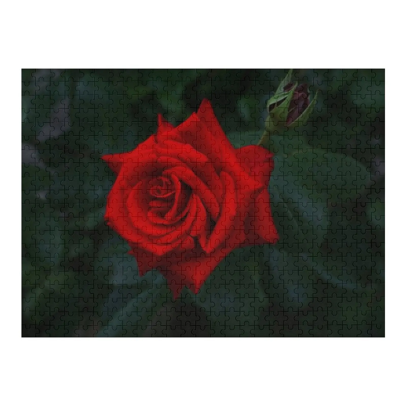 Beautiful Tango Red Rose Flower Jigsaw Puzzle Works Of Art Personalized Wooden Name Puzzle
Beautiful Tango Red Rose Flower Jigsaw Puzzle Works Of Art Personalized Wooden Name Puzzle