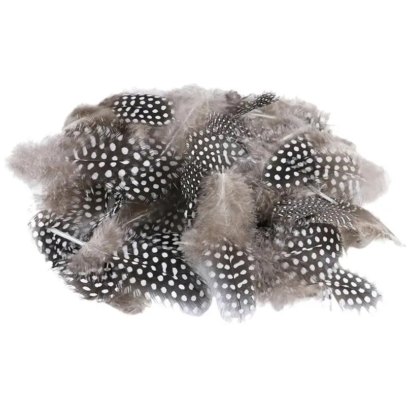 Feathers For Crafts Set Of 100 Dream Catcher Decor Feather Wedding Decorations For Clothing Jewelry Dream Catcher Supplies
Feathers For Crafts Set Of 100 Dream Catcher Decor Feather Wedding Decorations For Clothing Jewelry Dream Catcher Supplies