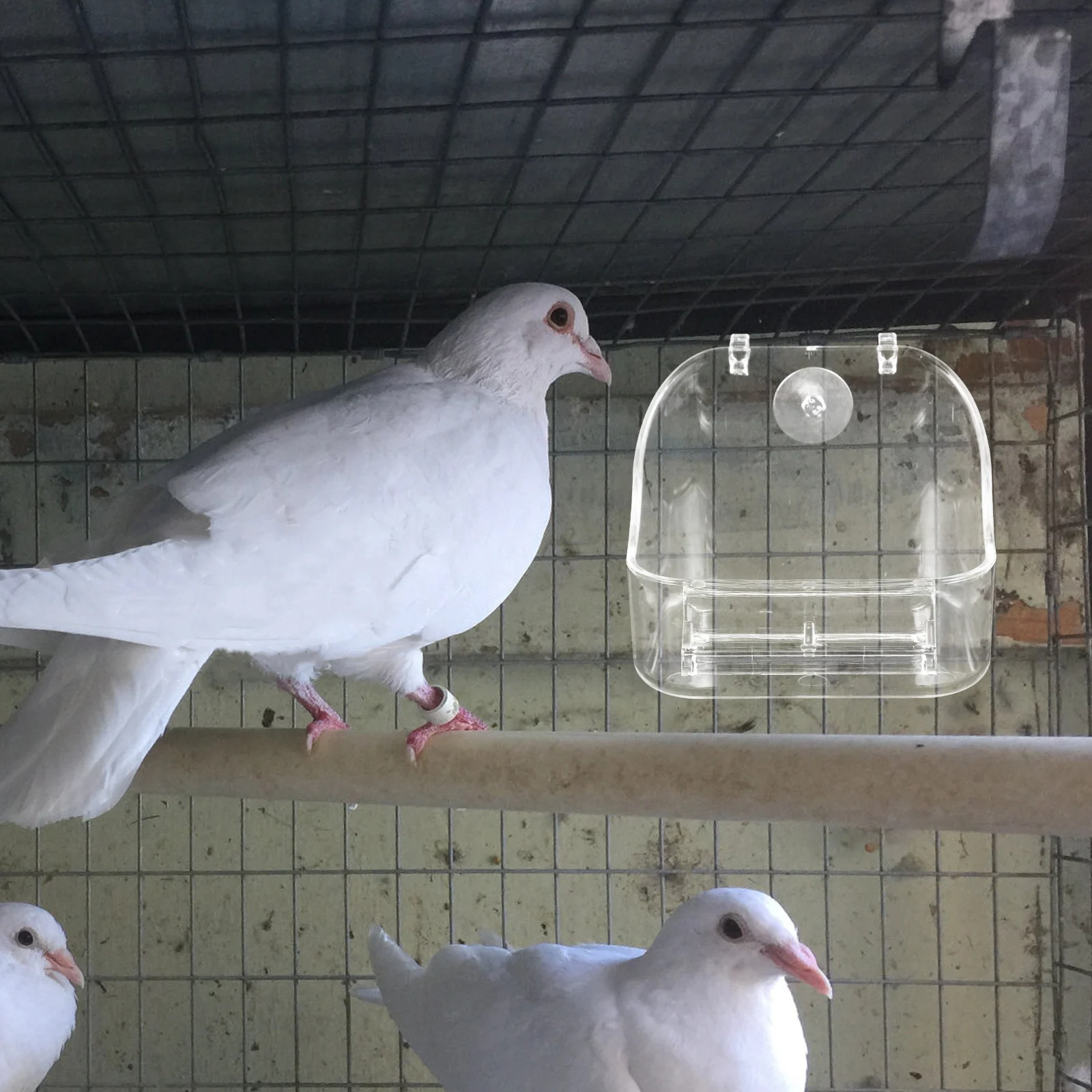 Hang Type Feeding Bathtub for Cage Bathing Parakeet Water Transparent Multipurpose Bathtub Hanging Feeder Small Pet for Parrot
Hang Type Feeding Bathtub for Cage Bathing Parakeet Water Transparent Multipurpose Bathtub Hanging Feeder Small Pet for Parrot
