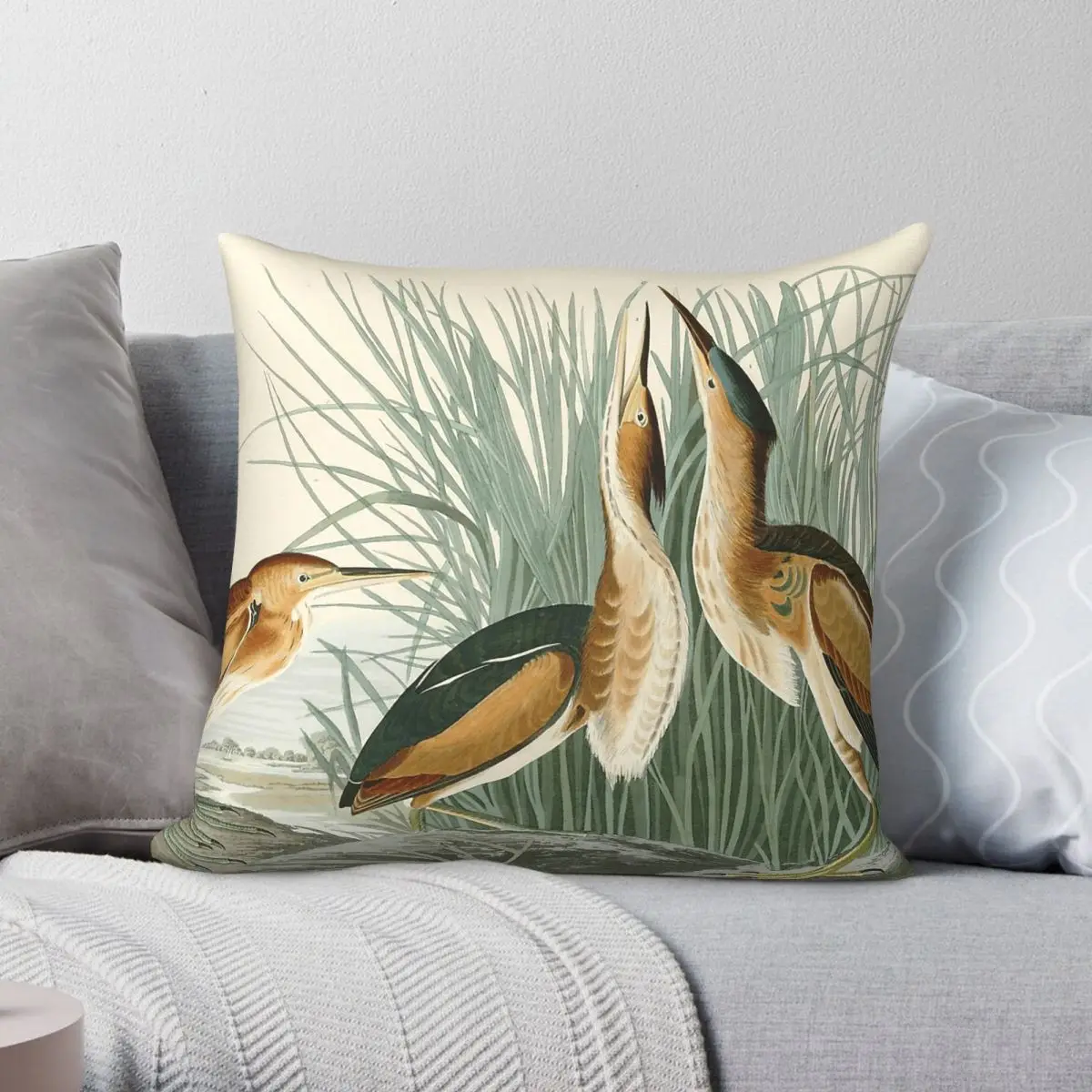 Least Bittern John James Audubon Square Pillowcase Polyester Linen Velvet Printed Zip Decorative Pillow Case Sofa Seater Cover
Least Bittern John James Audubon Square Pillowcase Polyester Linen Velvet Printed Zip Decorative Pillow Case Sofa Seater Cover