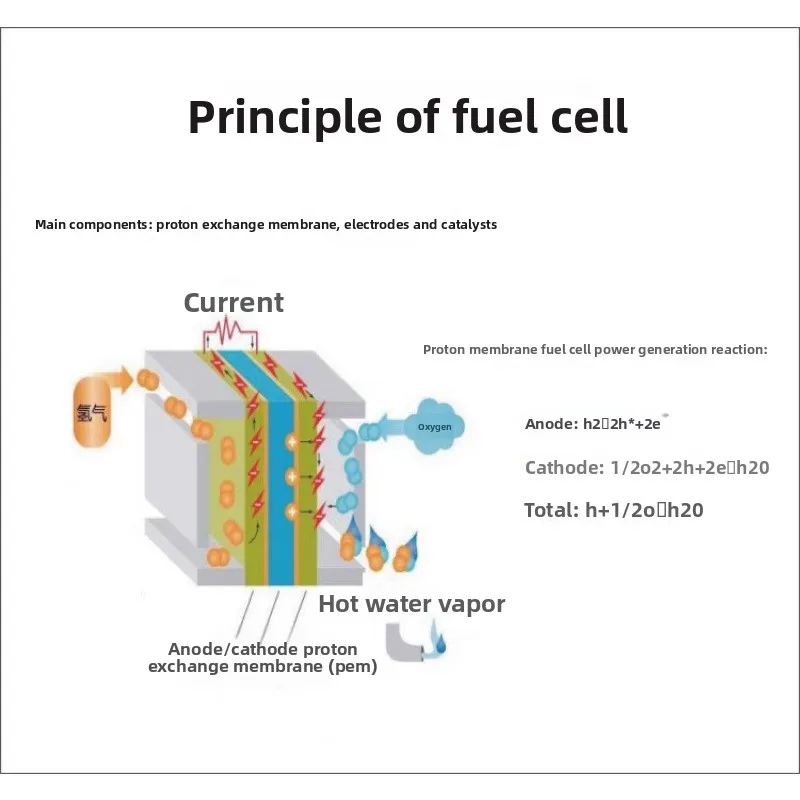 Proton membrane hydrogen fuel cell, teaching instrument.
Proton membrane hydrogen fuel cell, teaching instrument.
