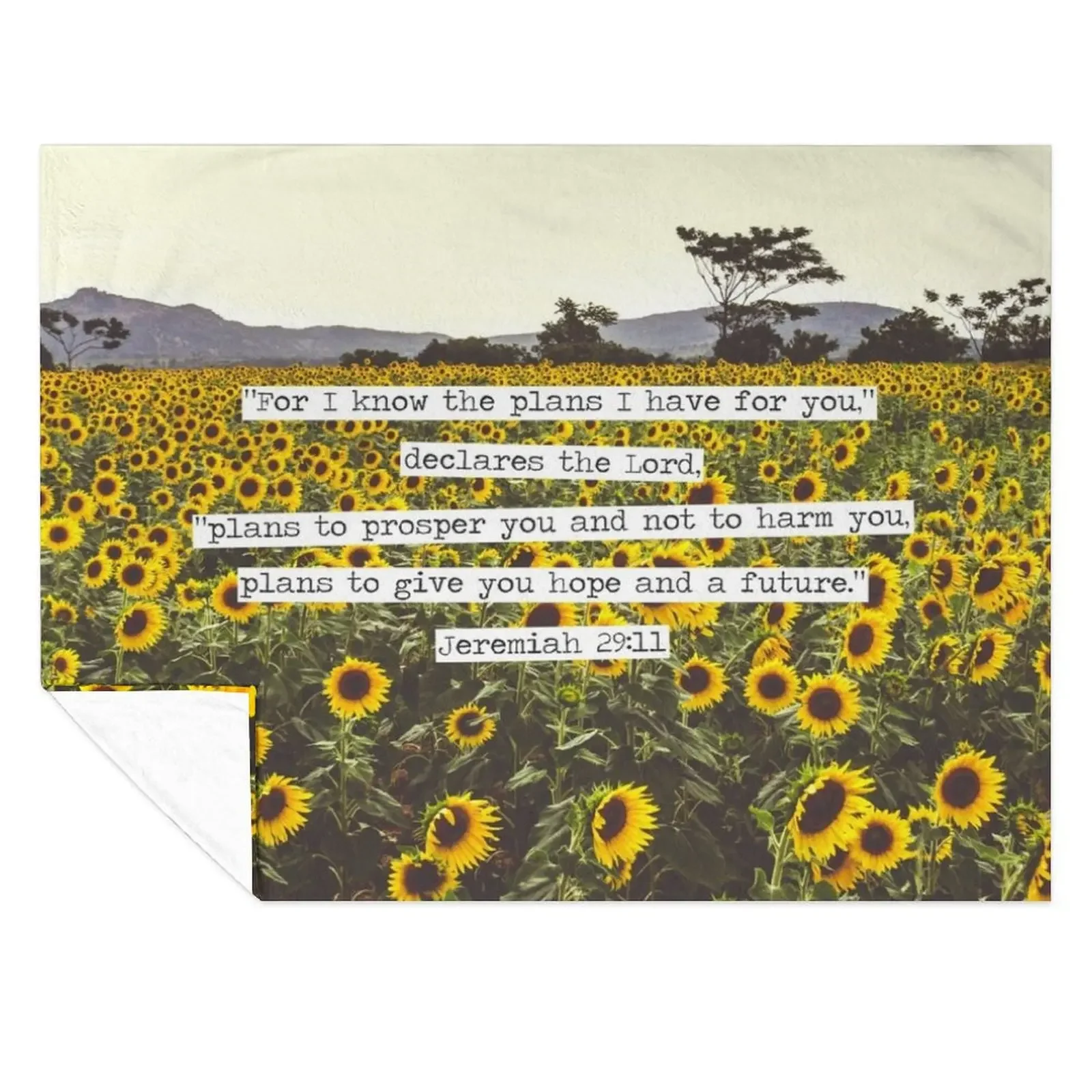 Jeremiah Sunflowers Throw Blanket warm for winter Hair Designers Bed covers Blankets
Jeremiah Sunflowers Throw Blanket warm for winter Hair Designers Bed covers Blankets