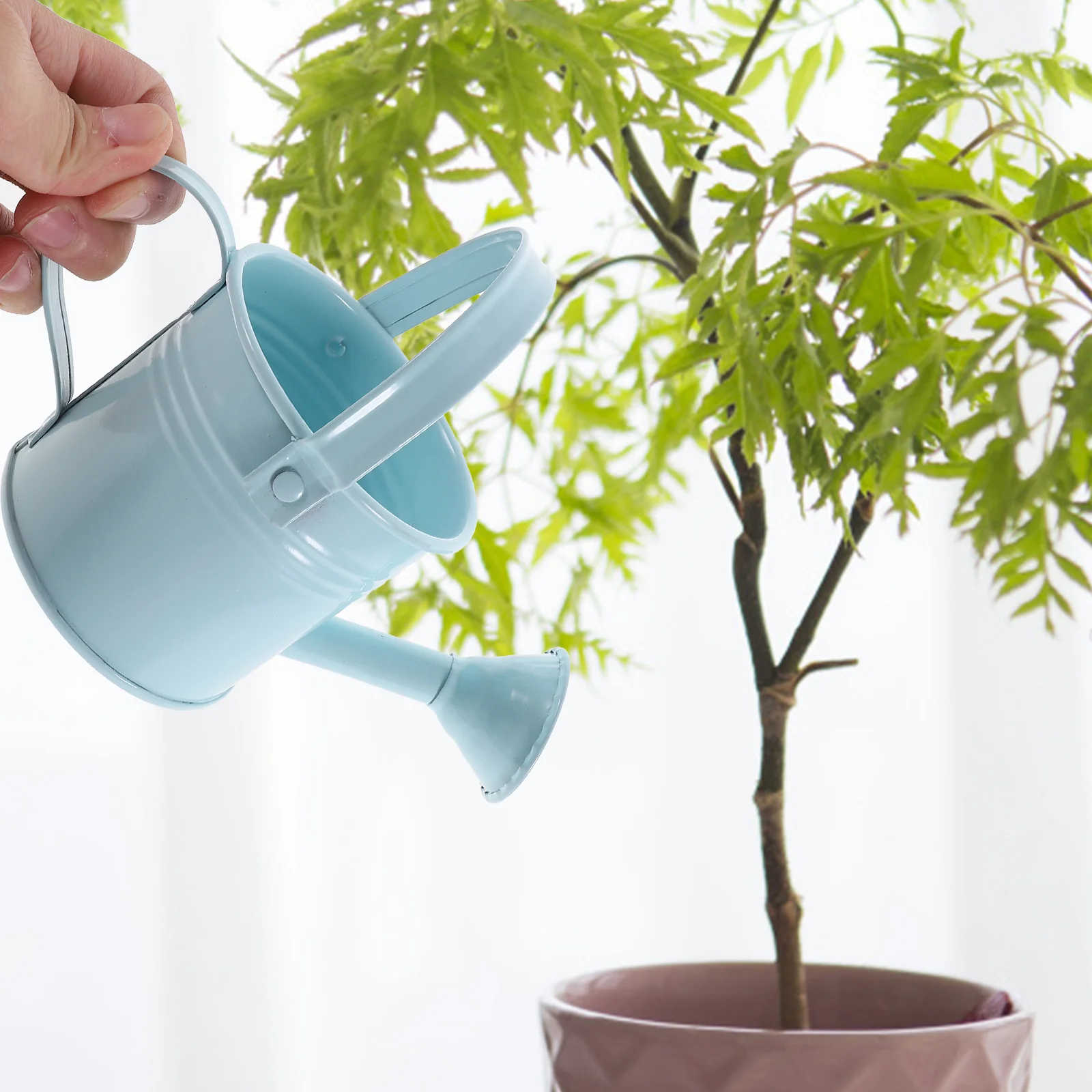 2Pcs Durable Iron Watering Pot Large Capacity Long Mouth Sprinkling Kettle For Indoor Outdoor Garden Home Plants Flower
2Pcs Durable Iron Watering Pot Large Capacity Long Mouth Sprinkling Kettle For Indoor Outdoor Garden Home Plants Flower