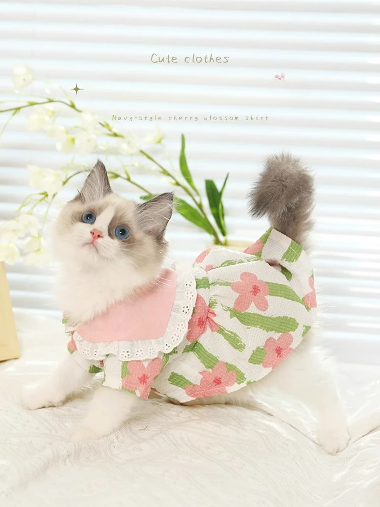 Cat Clothing Summer Skirts Pet Kittens Cute Short Gradually Layered Thin Cloth Puppets Summer Anti Shedding Fur Cat Dress
Cat Clothing Summer Skirts Pet Kittens Cute Short Gradually Layered Thin Cloth Puppets Summer Anti Shedding Fur Cat Dress