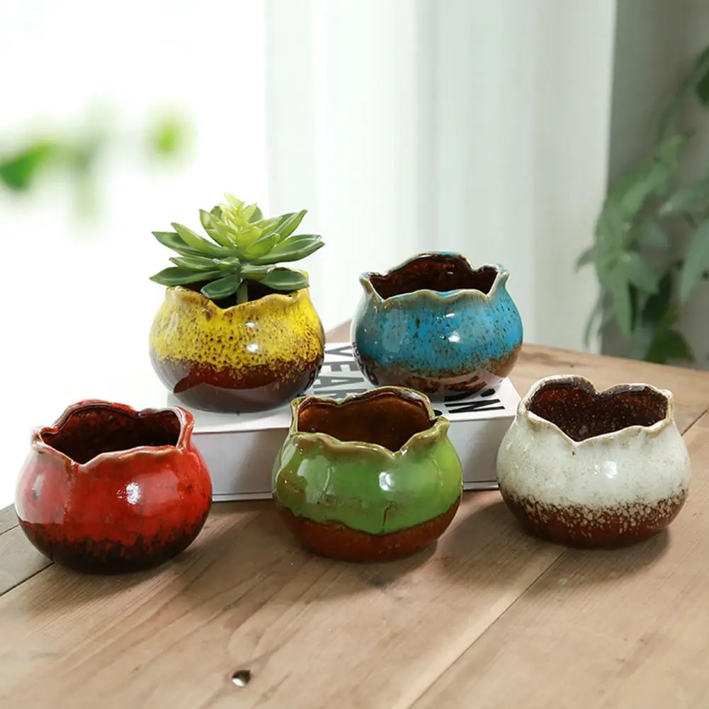 Succulent Planter Durable Drain Hole Design Exquisite Succulent Flower Pot Balcony Gardening Gift Garden Supplies
Succulent Planter Durable Drain Hole Design Exquisite Succulent Flower Pot Balcony Gardening Gift Garden Supplies