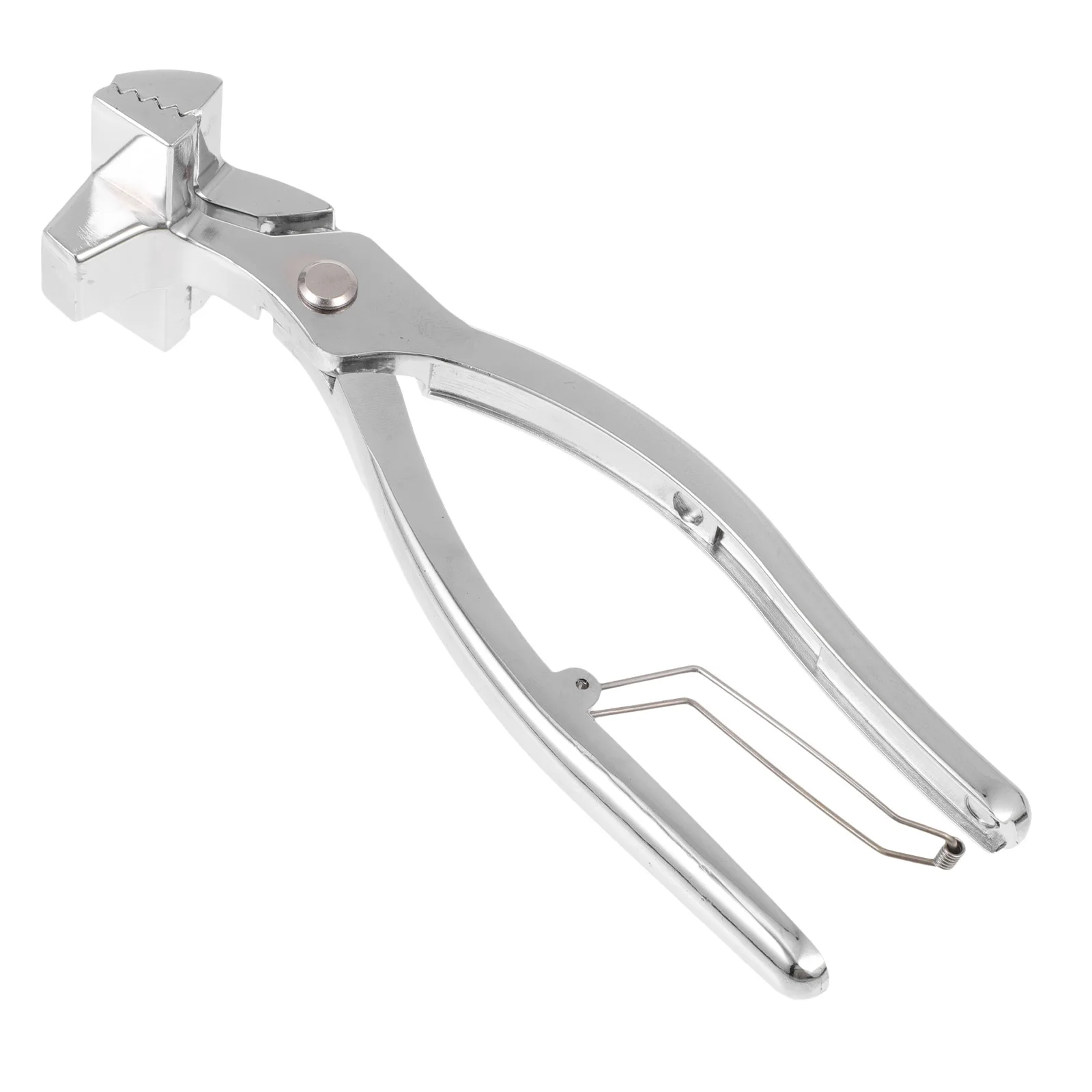 1pc Oil Canvas Pliers Stretcher Tool Wide Mouth Durable Hand Tool for Painting Canvas Stretching Clamps Supplies
1pc Oil Canvas Pliers Stretcher Tool Wide Mouth Durable Hand Tool for Painting Canvas Stretching Clamps Supplies