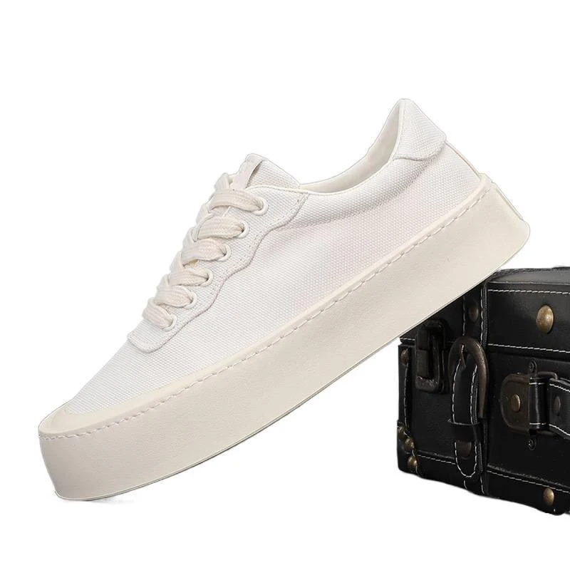 New Spring Men's Shoes Chinese Style Breathable Plaid Lace-up Low-top Men's Casual Canvas Shoes
New Spring Men's Shoes Chinese Style Breathable Plaid Lace-up Low-top Men's Casual Canvas Shoes