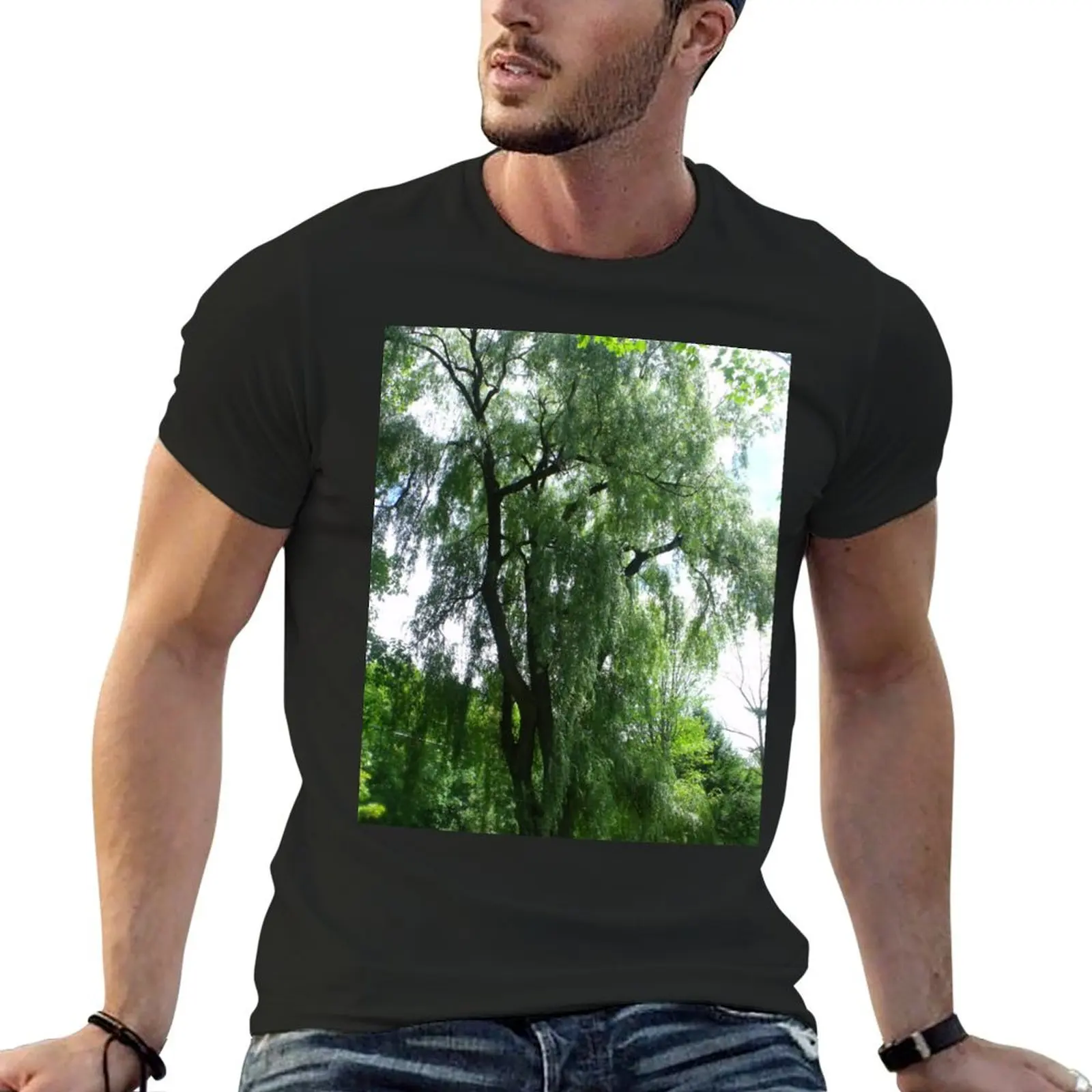 Willow Tree T-Shirt vintage sports fans custom shirt customizeds men t shirt
Willow Tree T-Shirt vintage sports fans custom shirt customizeds men t shirt