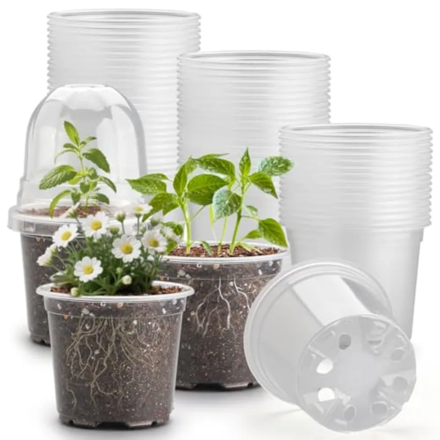 60 Pack Nursery Humidity Domes, Plastic Plant Pots with Drainage Holes for Seedlings, Transparent Seed Startg Pot for Cuttgs Pr
60 Pack Nursery Humidity Domes, Plastic Plant Pots with Drainage Holes for Seedlings, Transparent Seed Startg Pot for Cuttgs Pr