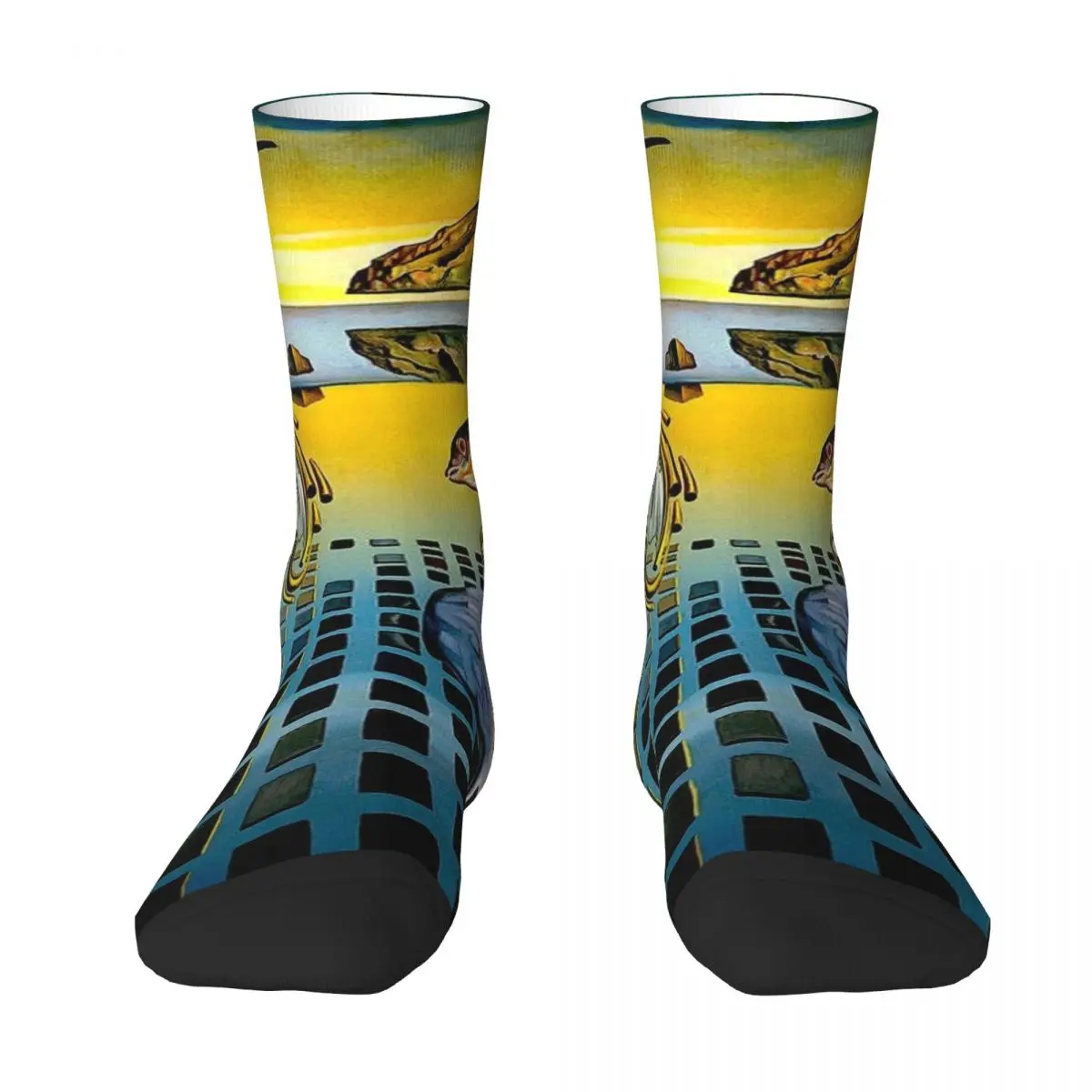 DISINTEGRATION : Vintage Abstract Painting Print Socks christmas stocking halloween Mens Socks Women's
DISINTEGRATION : Vintage Abstract Painting Print Socks christmas stocking halloween Mens Socks Women's