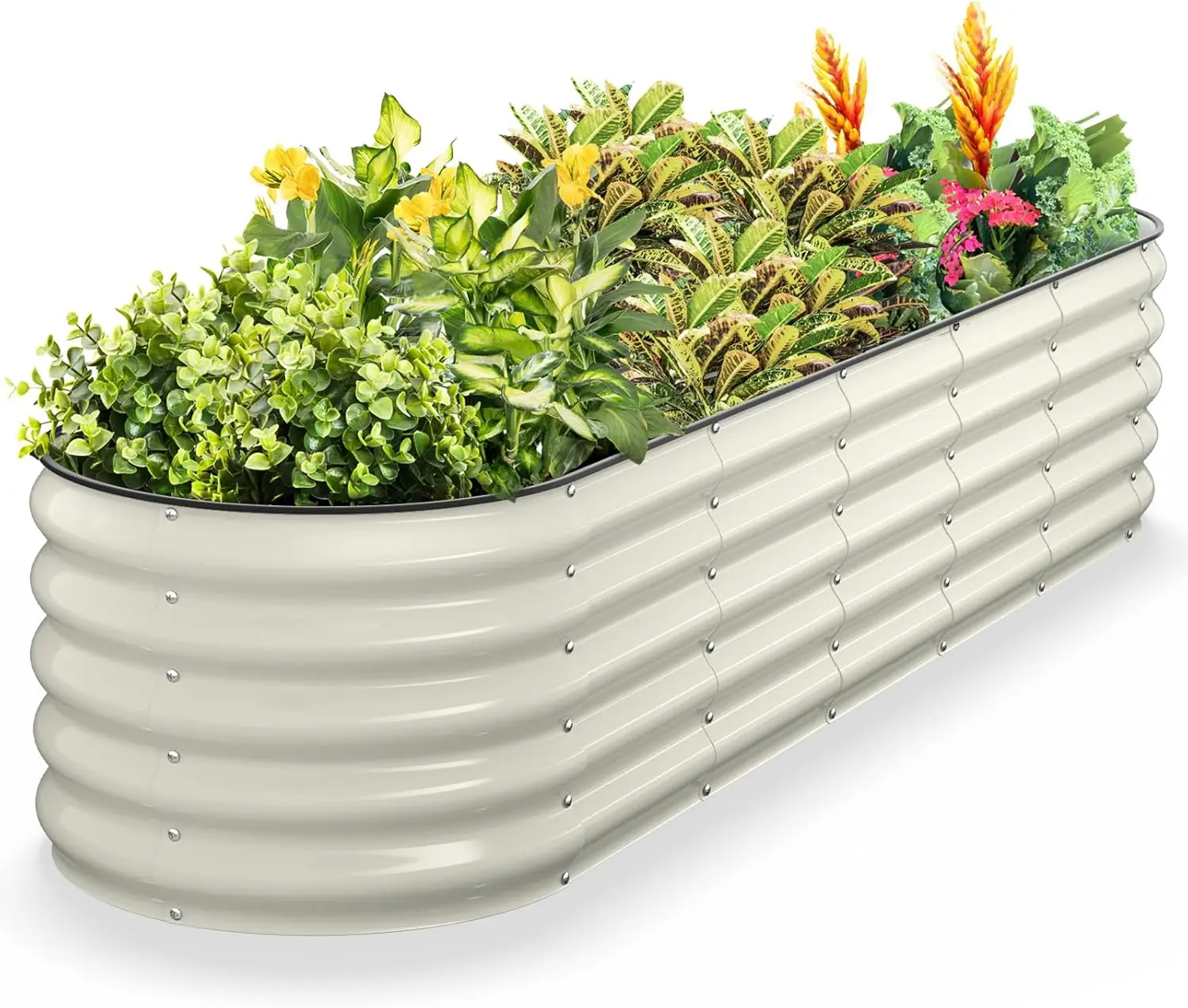 Raised Garden Bed 8x2x1.5 ft, Galvanized Steel Oval Planter with 18-Inch Depth for Vegetables, Pearl White
Raised Garden Bed 8x2x1.5 ft, Galvanized Steel Oval Planter with 18-Inch Depth for Vegetables, Pearl White