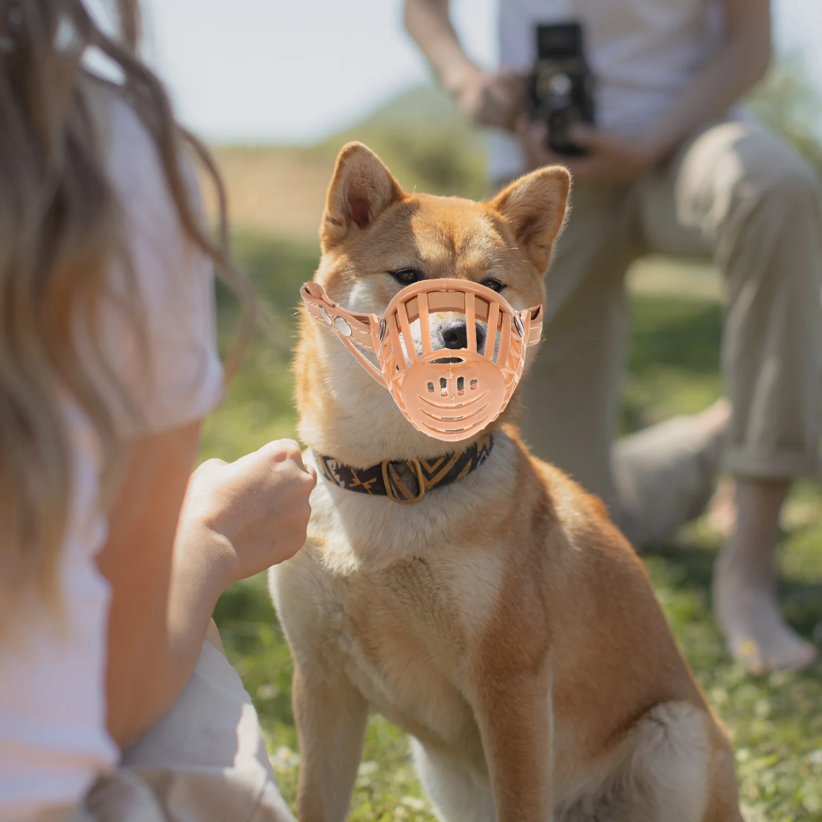 Adjustable Plastic Basket Type Anti-Biting Barking Control For Pet Puppy Training Protection Xs Size Dog Muzzle Leash
Adjustable Plastic Basket Type Anti-Biting Barking Control For Pet Puppy Training Protection Xs Size Dog Muzzle Leash