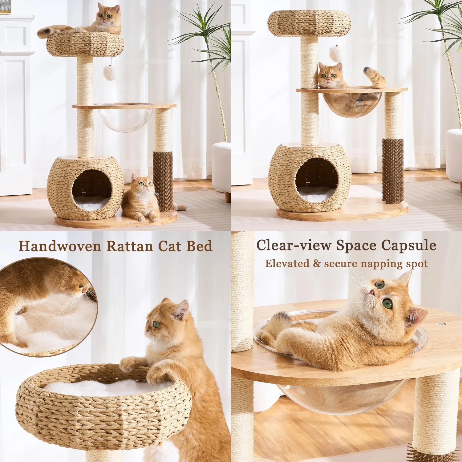 Modern Solid Wood Cat Tree Tower for Indoor Cats Large Adult, 38 inch Corner Cat Tree with Handmade Rattan Cat Bed,, Customized
Modern Solid Wood Cat Tree Tower for Indoor Cats Large Adult, 38 inch Corner Cat Tree with Handmade Rattan Cat Bed,, Customized
