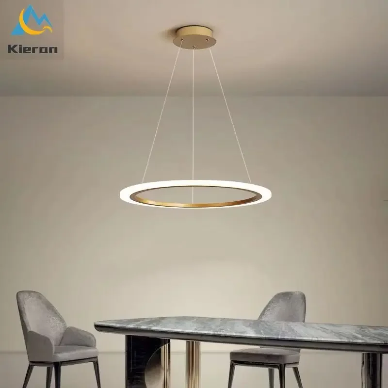 Modern Brights Circular LED Chandelier Bedroom Study Restaurant Bedside Pendent Lamp Living Room Decor Hula Hoop Pendent Lights
Modern Brights Circular LED Chandelier Bedroom Study Restaurant Bedside Pendent Lamp Living Room Decor Hula Hoop Pendent Lights