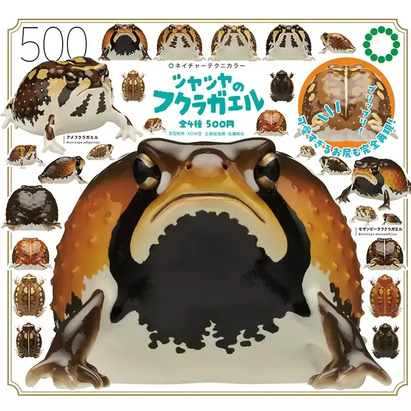 Breviceps Adspersus Gashapon Collection Desktop Ornament Action Figure Model Toys
Breviceps Adspersus Gashapon Collection Desktop Ornament Action Figure Model Toys