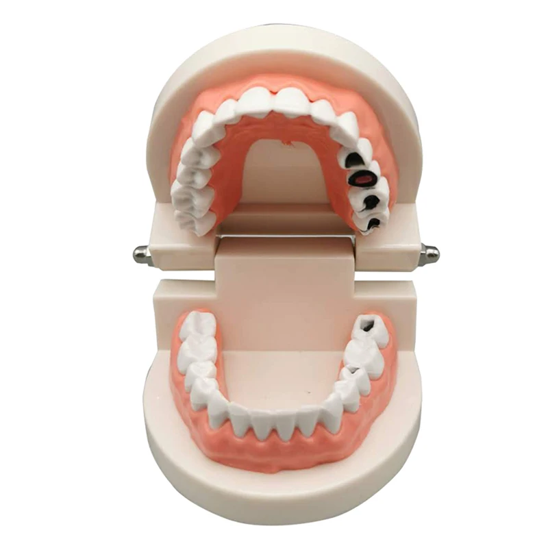 Educational Toys for Children Early Learning Kids Intelligence Brushing Tooth Teaching Aids Simulated Practical Life
Educational Toys for Children Early Learning Kids Intelligence Brushing Tooth Teaching Aids Simulated Practical Life
