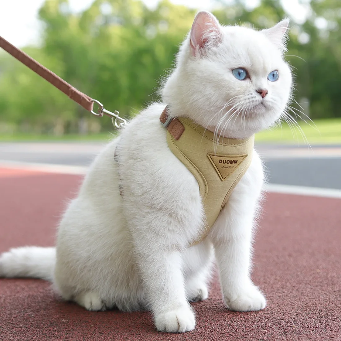 Cat Puppy Outdoor Walking Supplies Fashion Pet Harness and Leash Set for Small Dogs Cats Breathable Durable Kitten Harnesses
Cat Puppy Outdoor Walking Supplies Fashion Pet Harness and Leash Set for Small Dogs Cats Breathable Durable Kitten Harnesses