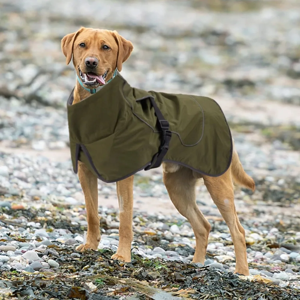 Waterproof Winter Big Dog Clothes Adjustable Thickened Dog Vest Jacket Reflective Strip Design Pet Dog Coat Autumn Winter
Waterproof Winter Big Dog Clothes Adjustable Thickened Dog Vest Jacket Reflective Strip Design Pet Dog Coat Autumn Winter