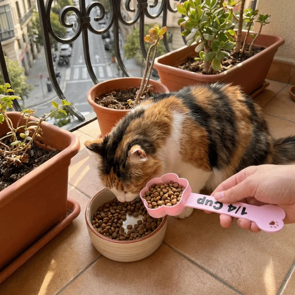 3D Printed Pet Feeding Spoon Food Grade Non-Slip Paw Shaped Pet Food Scoop Plastic Portable Cat Feeding Scoop for Cats and Dogs
3D Printed Pet Feeding Spoon Food Grade Non-Slip Paw Shaped Pet Food Scoop Plastic Portable Cat Feeding Scoop for Cats and Dogs
