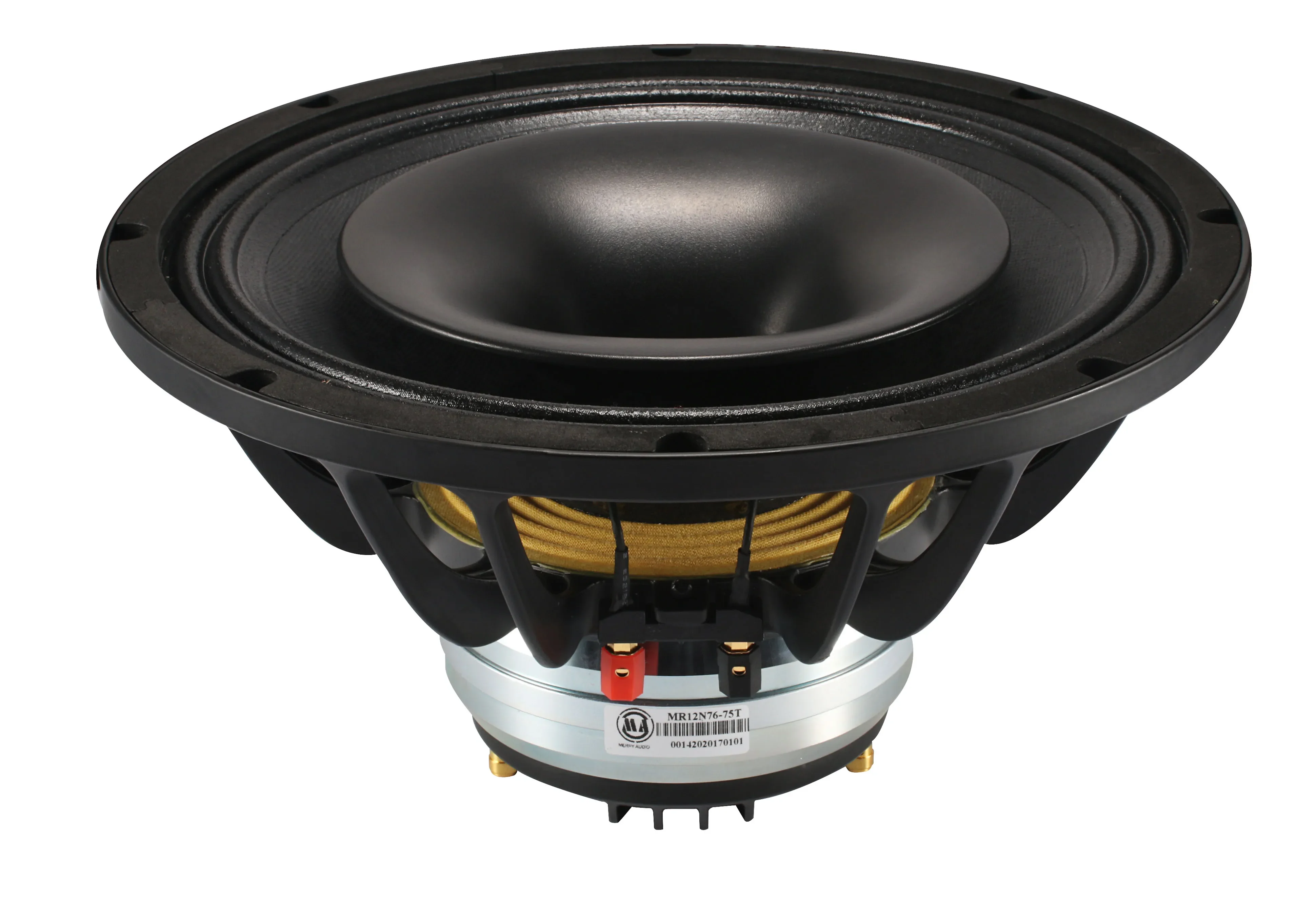 Top Quality Neodymium 12 Inch Coaxial Raw Speaker Driver For Line Array MR12N76-75T
Top Quality Neodymium 12 Inch Coaxial Raw Speaker Driver For Line Array MR12N76-75T