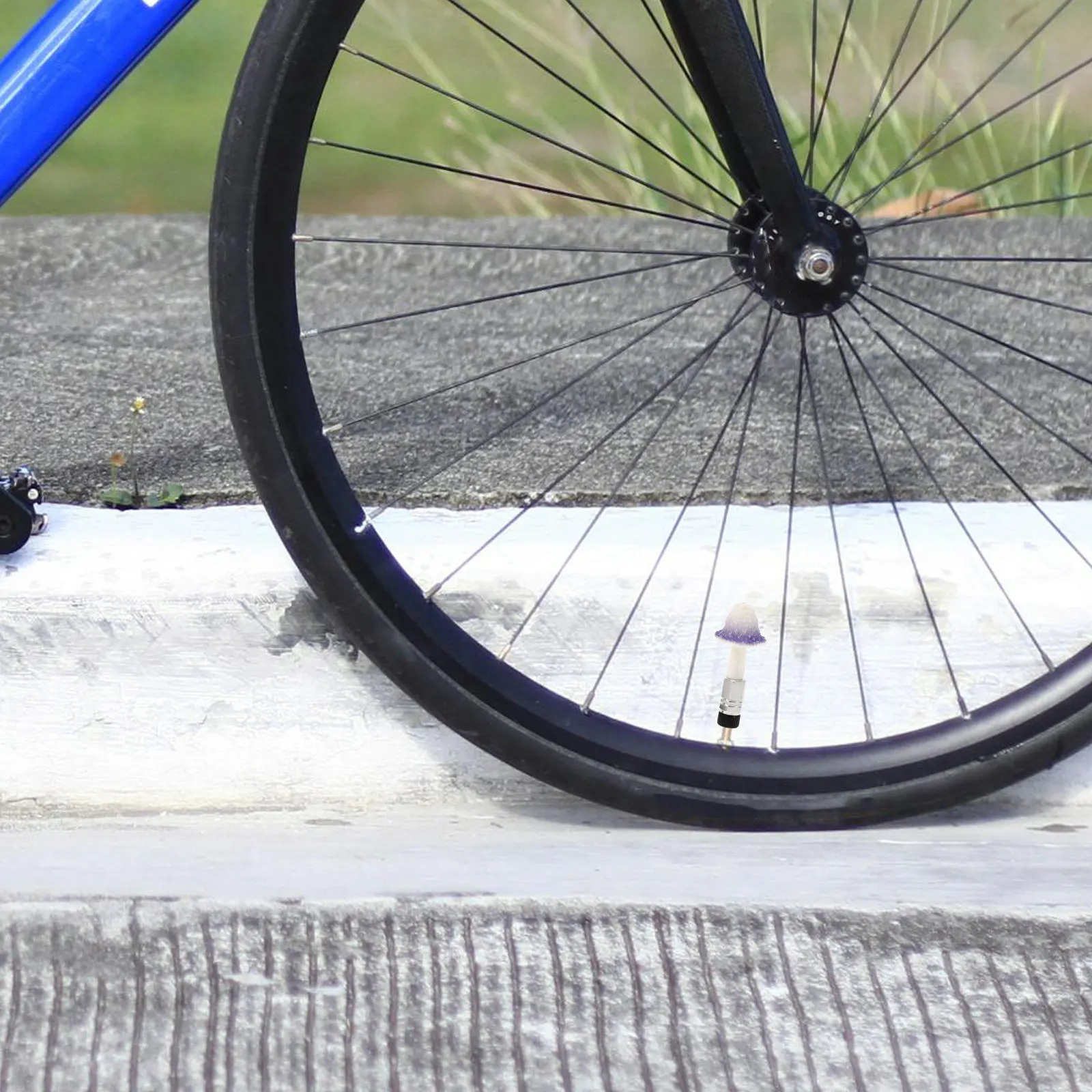 4 шт. декоративных колпачков для ниппелей в форме грибов, универсальные сменные колпачки для велосипедов, автомобилей, грузовиков, мотоциклов
4 шт. декоративных колпачков для ниппелей в форме грибов, универсальные сменные колпачки для велосипедов, автомобилей, грузовиков, мотоциклов