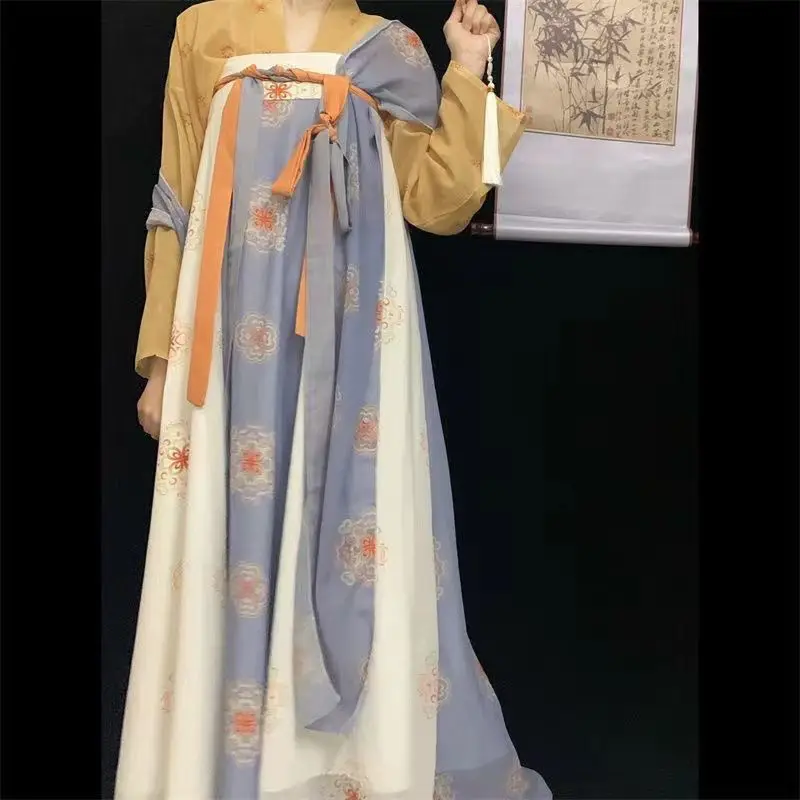 New Tang Dynasty Hanfu Shirt Set - Women's One-Piece Poqun Floral Print Ancient Chinese Top Traditional Costume
New Tang Dynasty Hanfu Shirt Set - Women's One-Piece Poqun Floral Print Ancient Chinese Top Traditional Costume