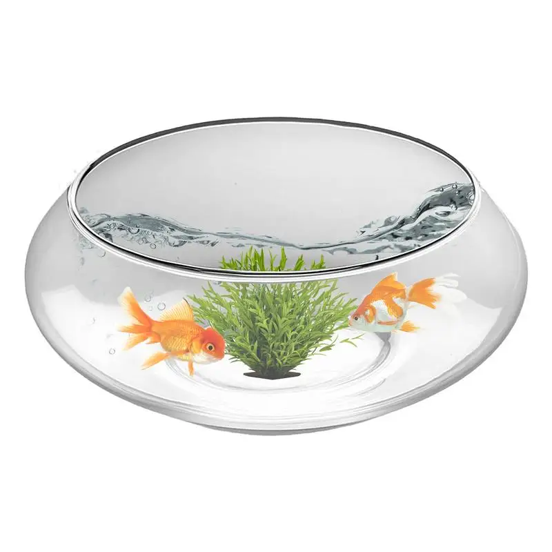 25cm Glass Hydroponics Bowl Shallow Round Wide Plants Pot Large Fish Bowl Indoor Bonsai Flower Succulents Lotus Planting Tool
25cm Glass Hydroponics Bowl Shallow Round Wide Plants Pot Large Fish Bowl Indoor Bonsai Flower Succulents Lotus Planting Tool