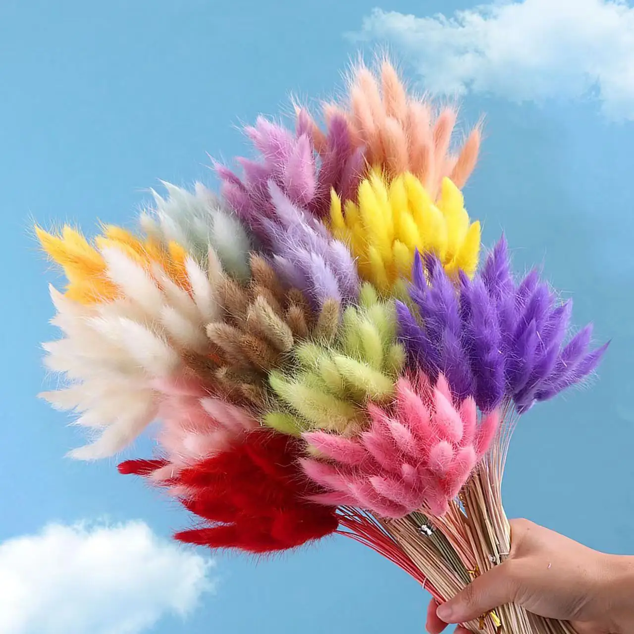60pcs Real Natural Floral Dried Flowers Bunny Rabbit Tail Grass Mixed Bouquet Colorful Lagurus Ovatus for Photo Props Decoration
60pcs Real Natural Floral Dried Flowers Bunny Rabbit Tail Grass Mixed Bouquet Colorful Lagurus Ovatus for Photo Props Decoration