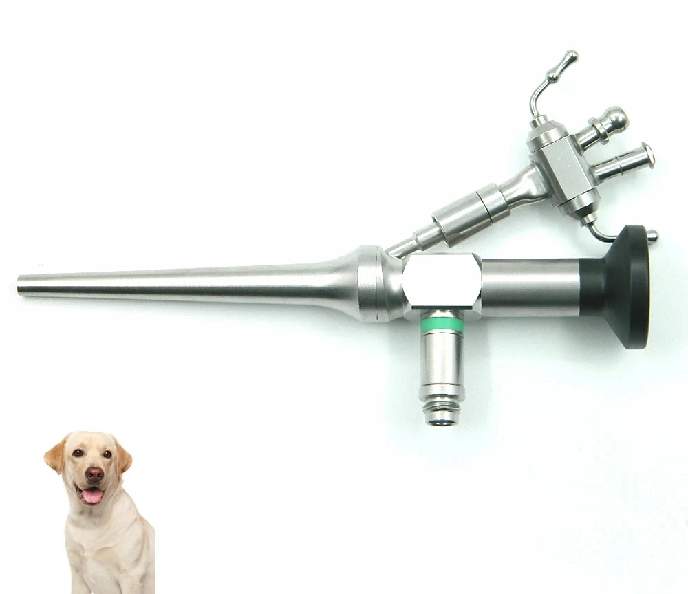 Medical Veterinary Vets Pets Dogs Cats Ear Rigid Endoscope Optics Otoscope Otoscopy Examination Surgery Small Animal Hospital
Medical Veterinary Vets Pets Dogs Cats Ear Rigid Endoscope Optics Otoscope Otoscopy Examination Surgery Small Animal Hospital