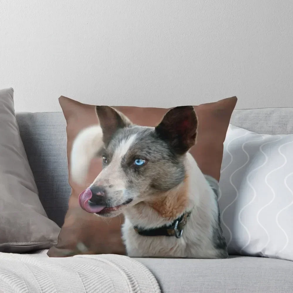 Rolli Throw Pillow ornamental pillows Cushions Cover Decorative Pillow Covers For Sofa christmas supplies pillow
Rolli Throw Pillow ornamental pillows Cushions Cover Decorative Pillow Covers For Sofa christmas supplies pillow