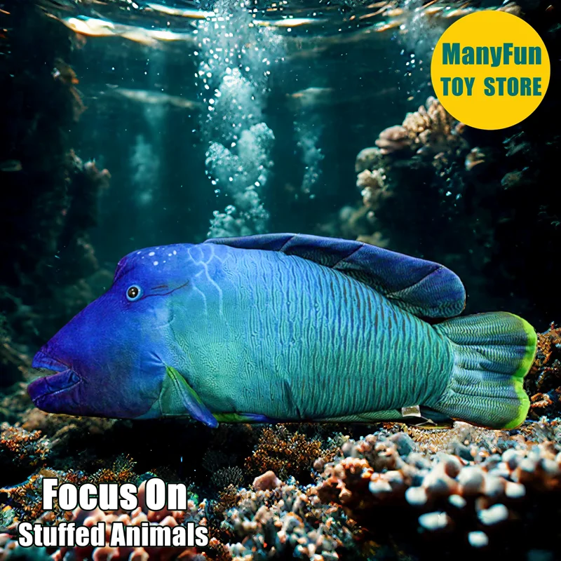 Реалистичная плюшевая игрушка Humphead Wrasse, реалистичная мягкая игрушка Наполеон Wrasse, плюшевая рыба Рифо, имитация коралловой рыбы, игрушка-кукла
Реалистичная плюшевая игрушка Humphead Wrasse, реалистичная мягкая игрушка Наполеон Wrasse, плюшевая рыба Рифо, имитация коралловой рыбы, игрушка-кукла