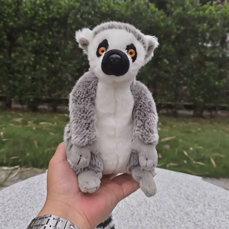 Реалистичная плюшевая игрушка Lemur с кольцевым хвостом, милая маленькая тканевая кукла Lemur, имитация мягкой куклы, кавайная игрушка, подарки
Реалистичная плюшевая игрушка Lemur с кольцевым хвостом, милая маленькая тканевая кукла Lemur, имитация мягкой куклы, кавайная игрушка, подарки