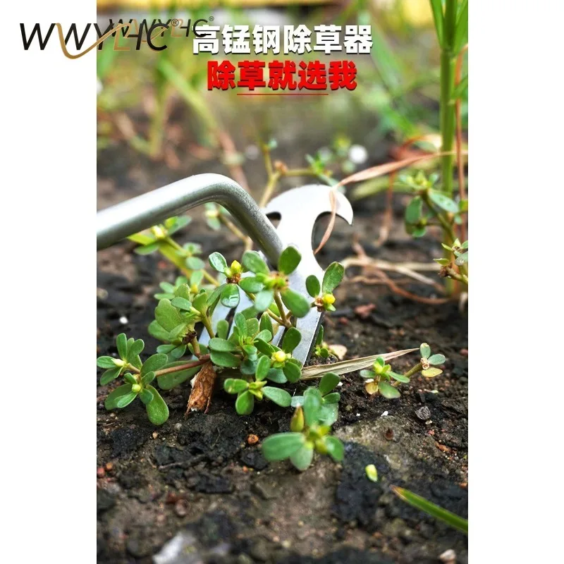 Suitable for Garden Farms, Stainless Steel Weeders, Shovels, Rakes, Durable Agricultural and Horticultural Weeding Tools
Suitable for Garden Farms, Stainless Steel Weeders, Shovels, Rakes, Durable Agricultural and Horticultural Weeding Tools