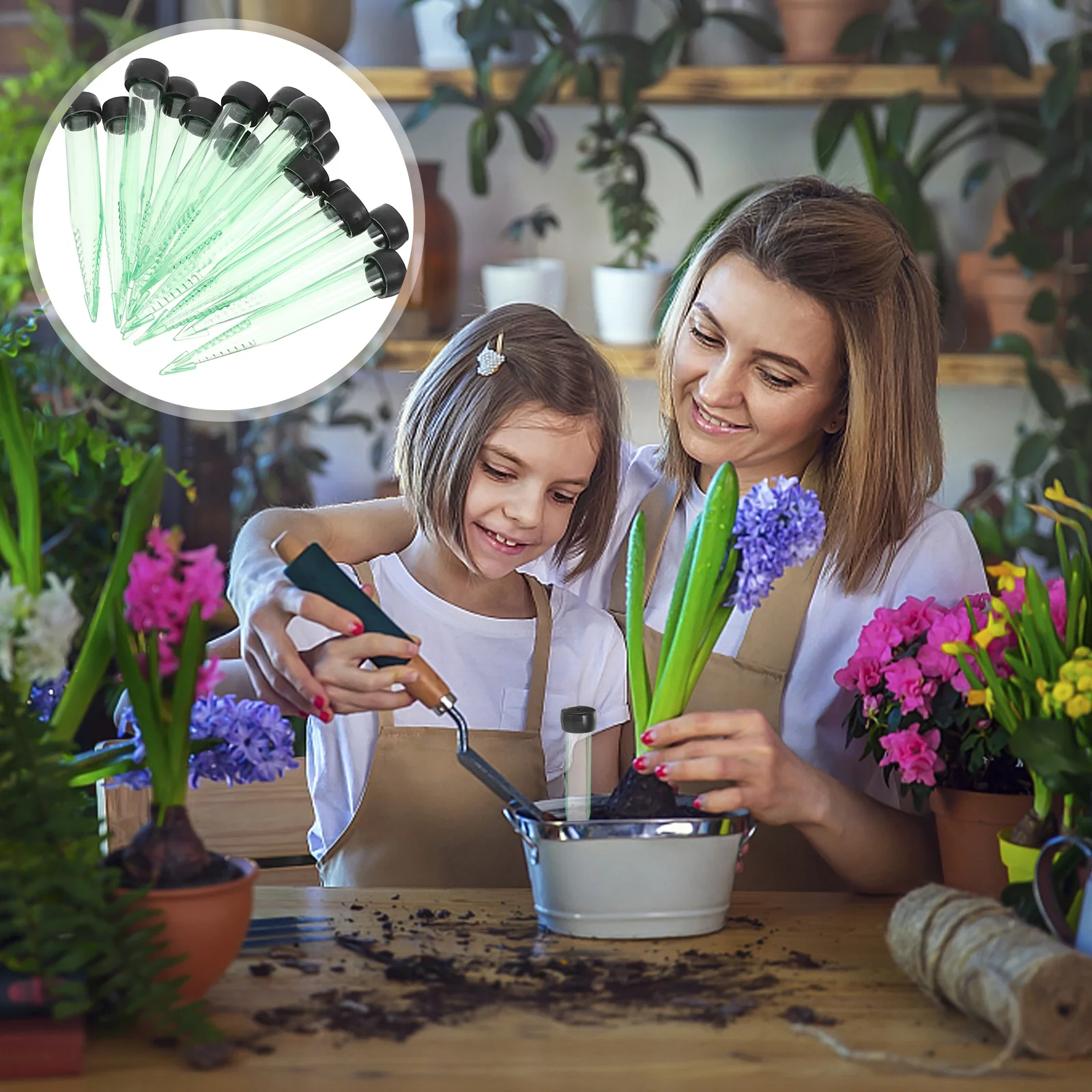 50Pcs Fresh Flower Tubes Clear Plastic Pointed Floral Vials Reusable Stem Water Tubes Floral Arrangement Supplies
50Pcs Fresh Flower Tubes Clear Plastic Pointed Floral Vials Reusable Stem Water Tubes Floral Arrangement Supplies