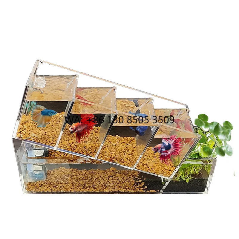 Creative Aquarium Multicellular Insulation Area Self Circulation Filtration Anhydrous Ecological Aquarium
Creative Aquarium Multicellular Insulation Area Self Circulation Filtration Anhydrous Ecological Aquarium