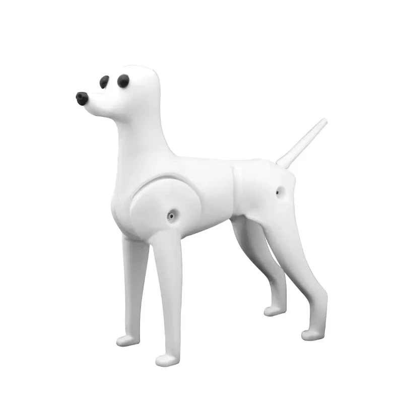 Pet Simulation Hair Grooming Dog Model Practice Dog Standard Model Dog Full Body Hair
Pet Simulation Hair Grooming Dog Model Practice Dog Standard Model Dog Full Body Hair