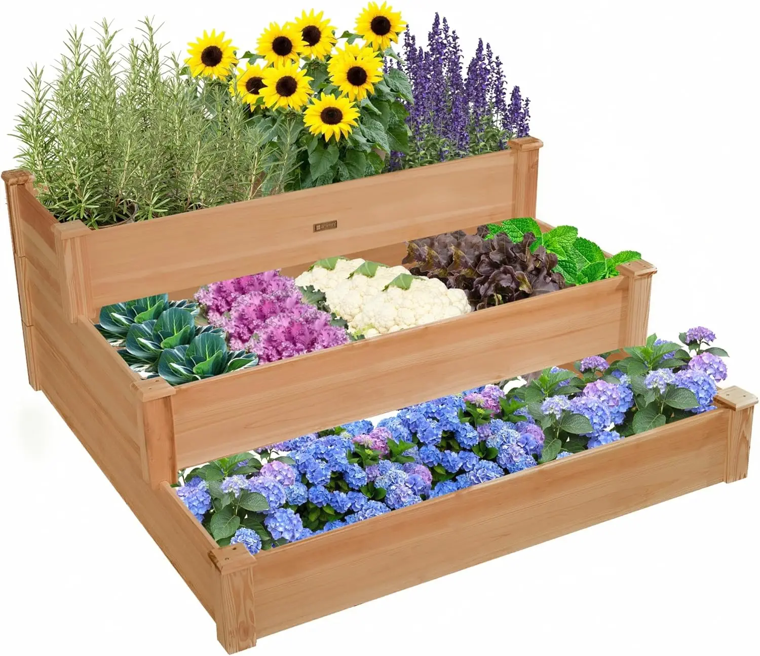 3-Tier Raised Garden Bed,Wood Elevated Planter Box,3 Dividable Bed Kit Planter for Vegetables/Garden/Lawn/Patio,Outdoor Gardenin
3-Tier Raised Garden Bed,Wood Elevated Planter Box,3 Dividable Bed Kit Planter for Vegetables/Garden/Lawn/Patio,Outdoor Gardenin