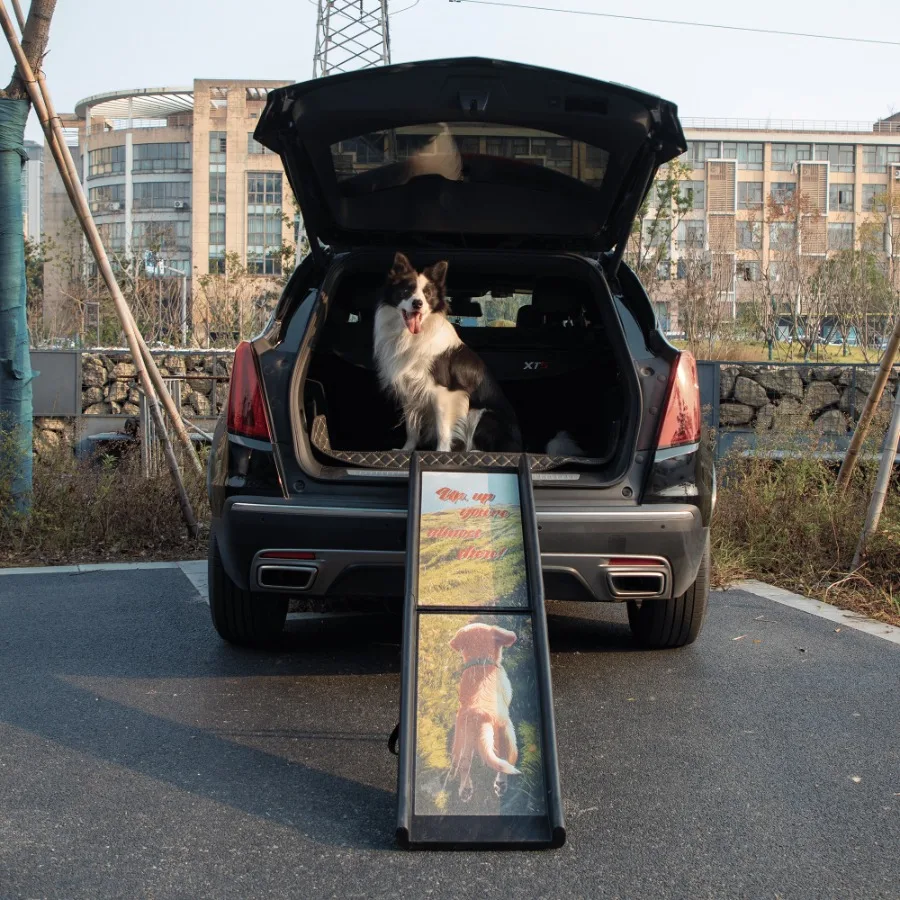 Folding Dog Ramp for Trucks SUVs Portable Climbing Dog Car Ramp with Nonslip Traction and Extendable Support Legs Dog Steps Up
Folding Dog Ramp for Trucks SUVs Portable Climbing Dog Car Ramp with Nonslip Traction and Extendable Support Legs Dog Steps Up