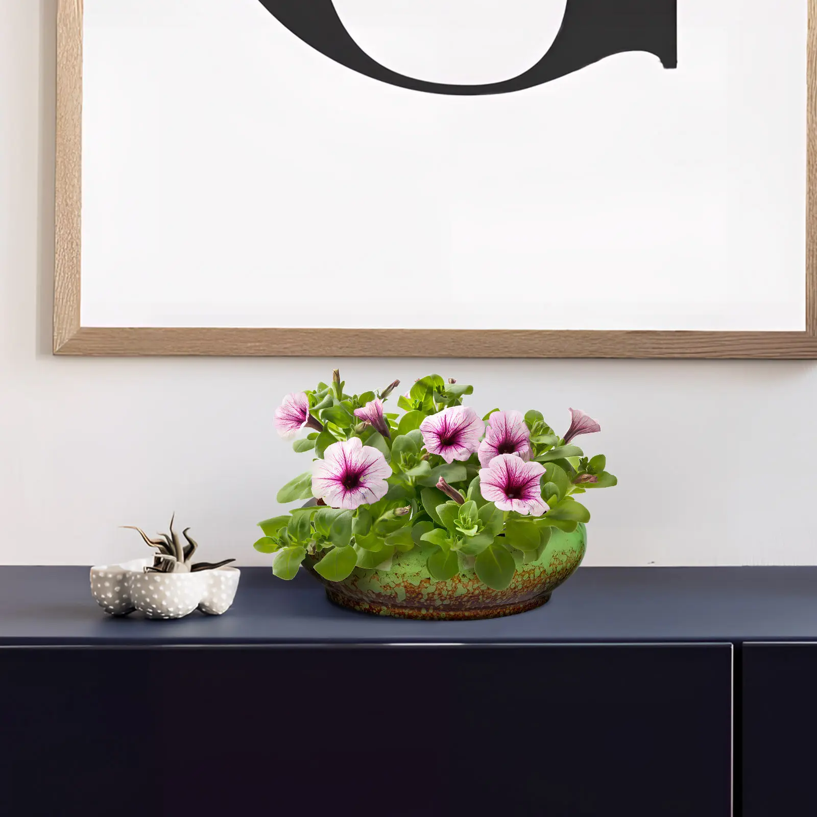 Керамический горшок для суккулентов, неглубокий, круглый, настольный, с дренажным отверстием, для цветов и бонсай
Керамический горшок для суккулентов, неглубокий, круглый, настольный, с дренажным отверстием, для цветов и бонсай