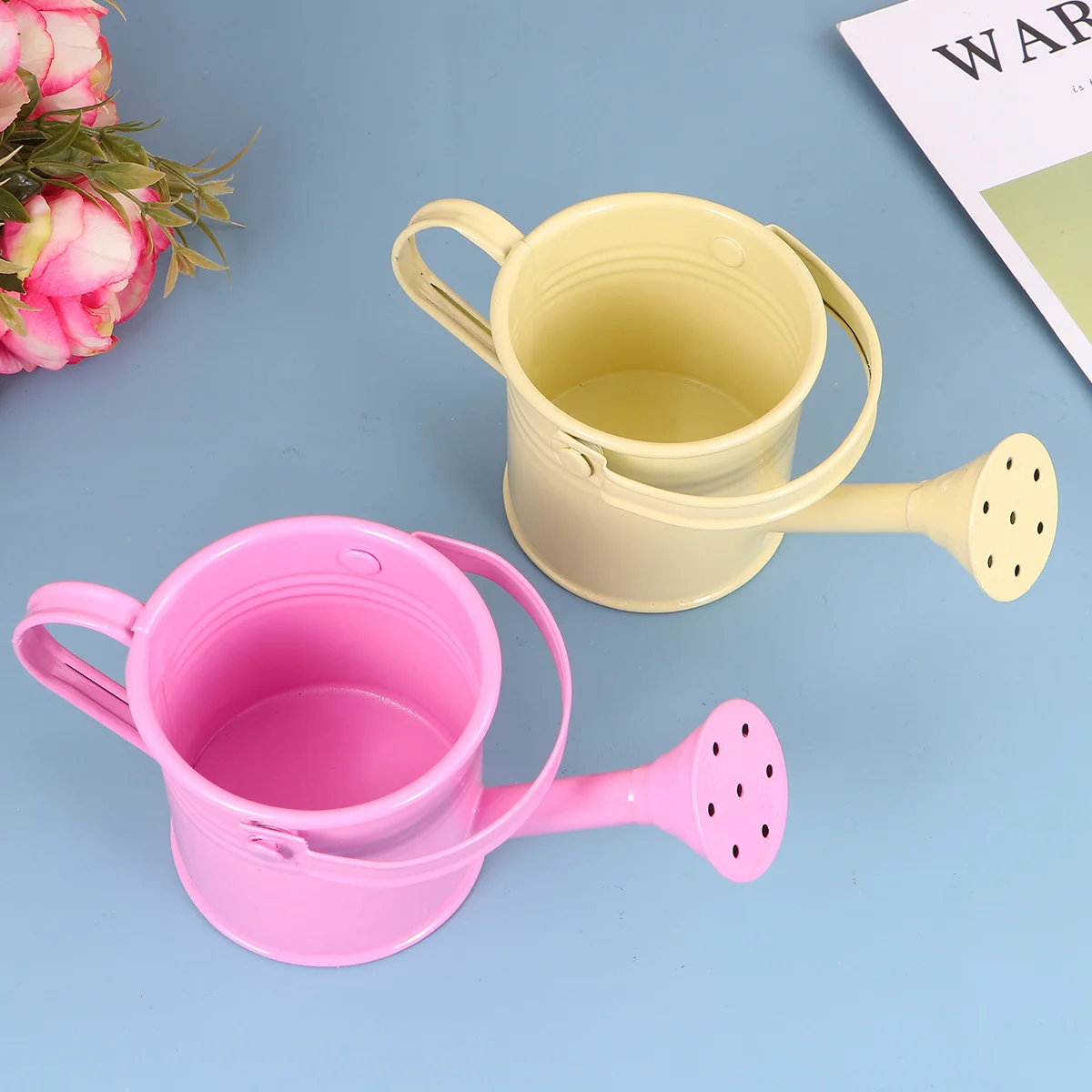 2 Pcs Watering Can for Plants Artificial Flowerpot Home with Long Mouth Child Birthday Decoration Girl
2 Pcs Watering Can for Plants Artificial Flowerpot Home with Long Mouth Child Birthday Decoration Girl