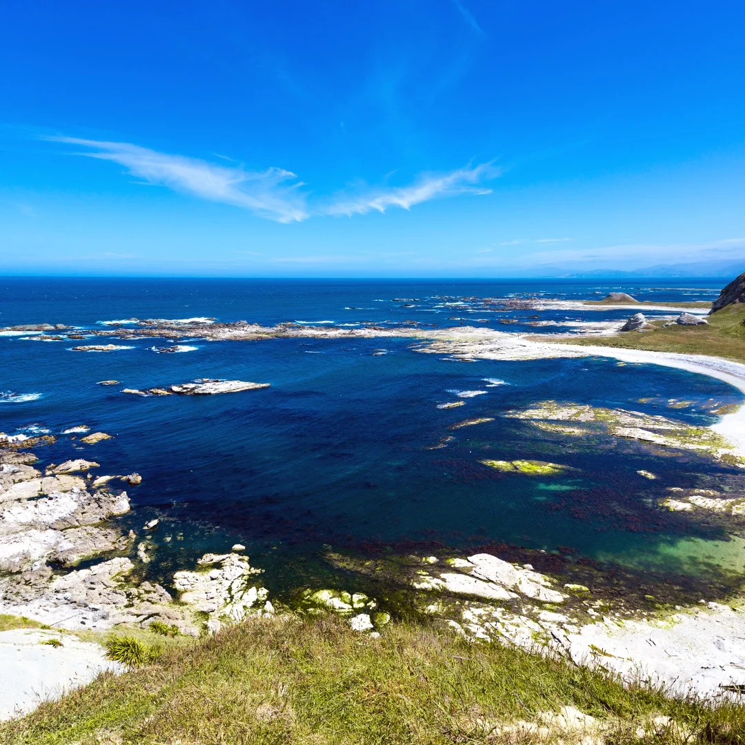 14,5 "для Ford F150 F250 2015-2021 Android интеллектуальные системы мультимедийный видеоплеер Qualcomm GPS навигация стерео DSP головка
14,5 "для Ford F150 F250 2015-2021 Android интеллектуальные системы мультимедийный видеоплеер Qualcomm GPS навигация стерео DSP головка